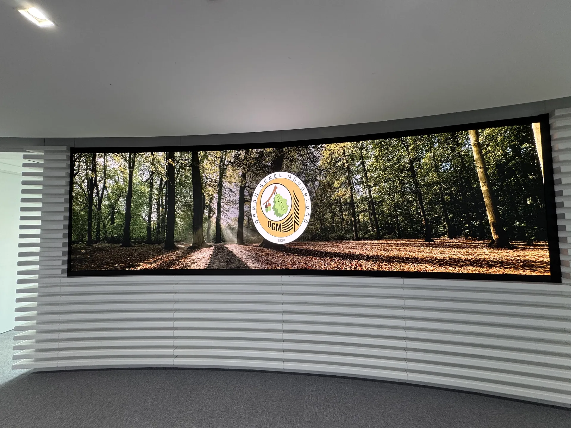 Samsung The Wall MPF P0.8 kavisli LED ekranın karşıdan görünümü