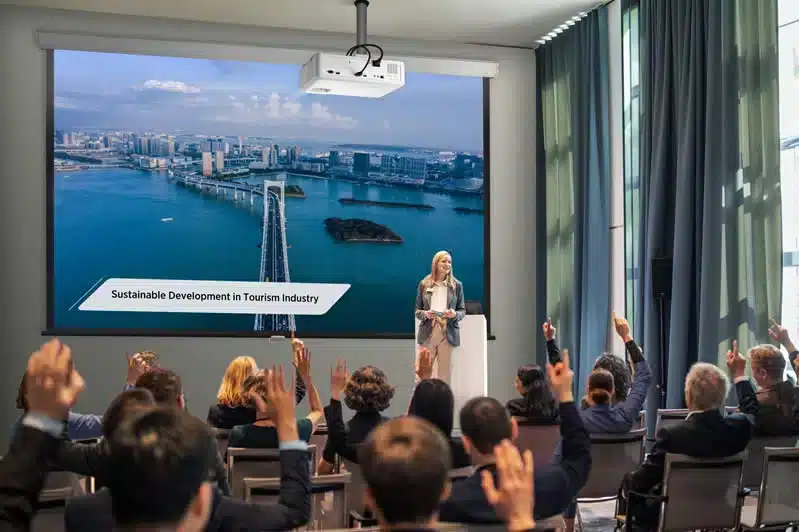 Profesyonel Projeksiyon